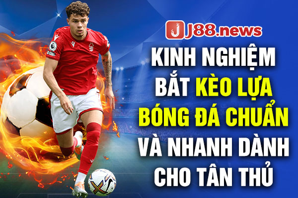 Kinh nghiệm cá cược kèo lựa bóng đá dễ thắng đậm Kinh nghiệm cá cược kèo lựa bóng đá dễ thắng đậm