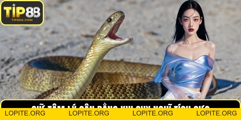 Mơ Thấy Rắn – Giải Mã Giấc Mộng Cùng Con Số May Mắn