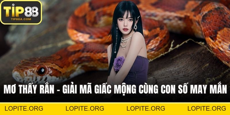 Đại Lý TIP88 - Hợp Tác Dễ Dàng, Phát Triển Bền Vững