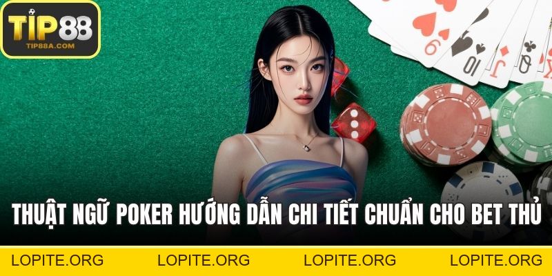 Mơ Thấy Rắn – Giải Mã Giấc Mộng Cùng Con Số May Mắn