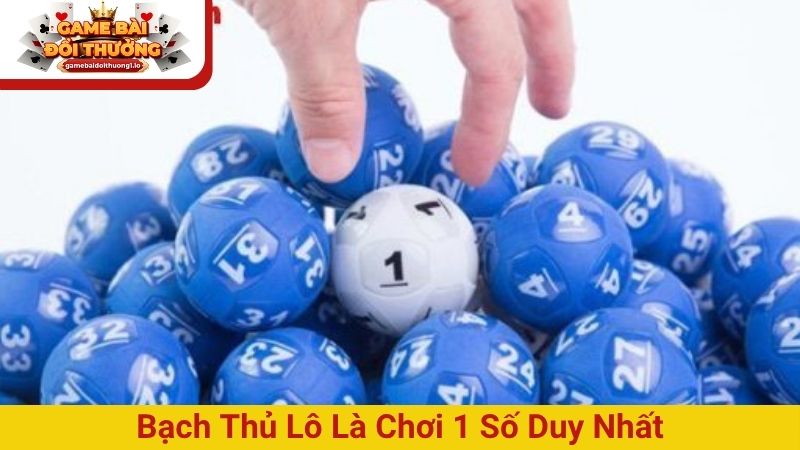 Bạch thủ lô là gì? Hướng dẫn tính tiền và chơi BTL chuẩn