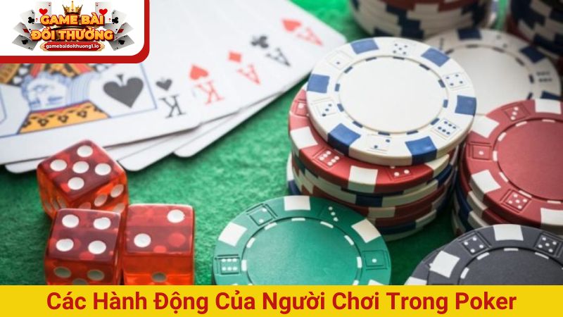 Tổng hợp tất tần tật luật chơi Poker 5 lá cho tân thủ