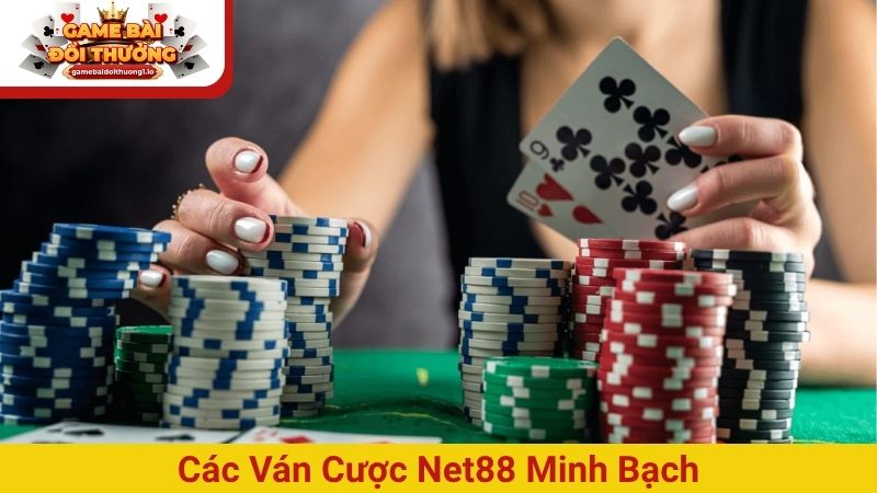 Đánh giá Net88: Có thật sự đáng tin và đáng để chơi?