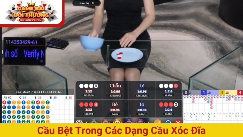 Các dạng cầu xóc đĩa phổ biến và tác dụng khi đặt cược