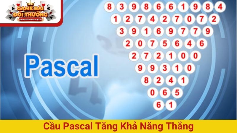 Cách soi cầu Pascal xổ số – Giải mã con số chuẩn xác nhất