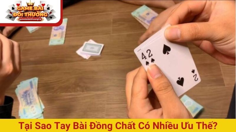 Đồng chất trong Liêng là gì? Sử dụng ra sao hiệu quả nhất?