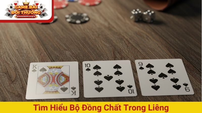 Đồng chất trong Liêng là gì? Sử dụng ra sao hiệu quả nhất?
