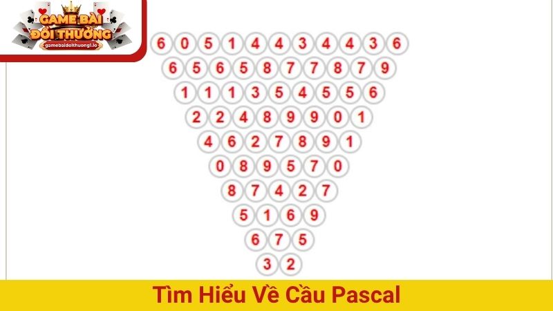 Cách soi cầu Pascal xổ số – Giải mã con số chuẩn xác nhất