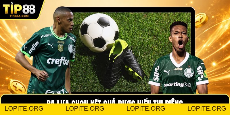 Thể Thao TIP88 - Cách Chọn Kèo Theo Từng Giải Đấu